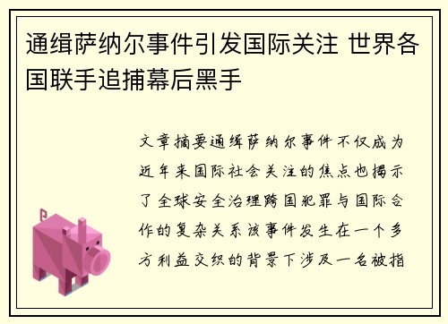 通缉萨纳尔事件引发国际关注 世界各国联手追捕幕后黑手