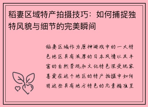 稻妻区域特产拍摄技巧：如何捕捉独特风貌与细节的完美瞬间